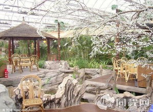 龜茲綠洲生態園門票預訂