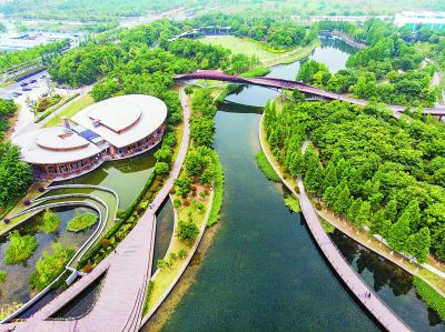 南京河西城市生態(tài)公園打造&ldquo;水域仙境&rdquo;
