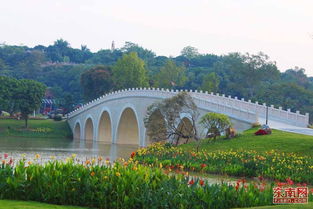 詔安南山文化生態園 演繹建設發展新篇章