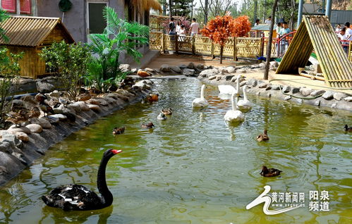 助力冬奧丨華北奕豐生態(tài)園戲雪樂園即將開園，生態(tài)旅游與冰雪運(yùn)動(dòng)完美融合