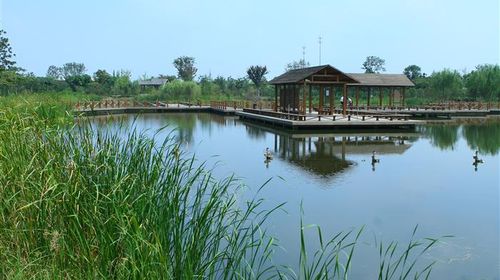 國慶樂游 上海出發(fā)，千燈古鎮(zhèn)與大唐生態(tài)園一日探幽之旅